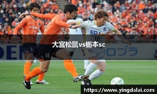 WE真人视讯官网