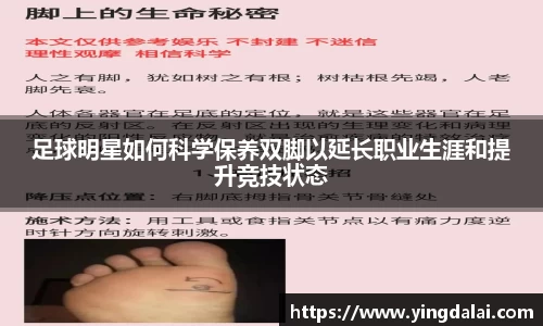 WE真人视讯官网